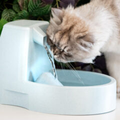 ペットの健康を守る水質管理