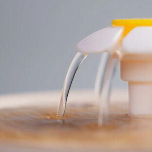 フィルターなしは危険？猫用給水器のメリット・デメリットを徹底解説！