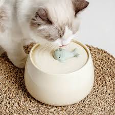 猫の飲水量が少ない？給水フィルターで水分補給をサポート！効果的な対策を解説