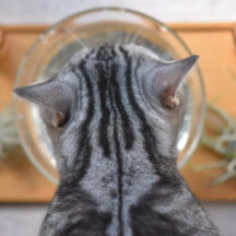 フィルターの価格帯とコストパフォーマンス徹底比較｜最もお得な選び方