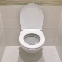 非常用トイレの種類と特徴：自宅に適したモデルの選び方