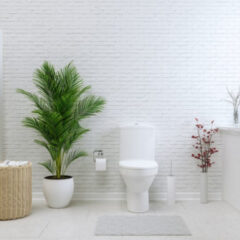 非常用トイレのコストパフォーマンスを徹底比較！価格と性能のベストバランスを見極めよう