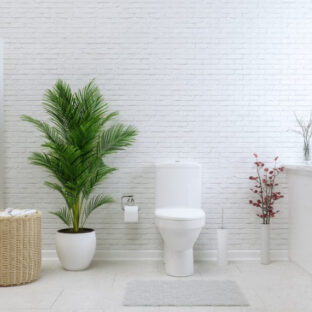 非常用トイレのコストパフォーマンスを徹底比較！価格と性能のベストバランスを見極めよう