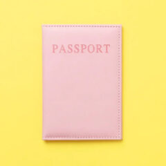 パスポートケースの手入れ方法｜素材別のケアで長持ちさせるコツ