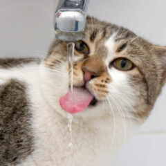 フィルターが詰まった際の対処法と予防策｜性能低下を防ぐ正しいメンテナンス方法