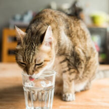 フィルターの取り付け方と正しい使い方ガイド｜初心者でも分かる基本とコツ